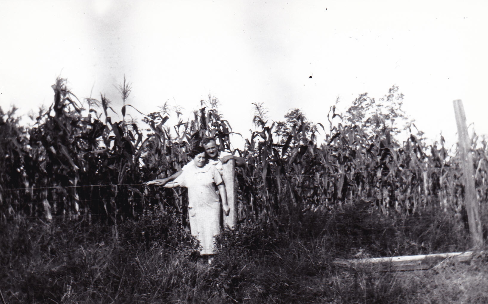 Musuem of the New Llano Colony
